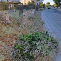 alykes 27 ds pezodromio 12