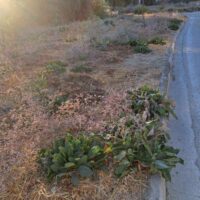 alykes 27 ds pezodromio 13