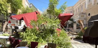 «Νομίζαμε πως πέθανε, έβγαζε αίμα από το στόμα»