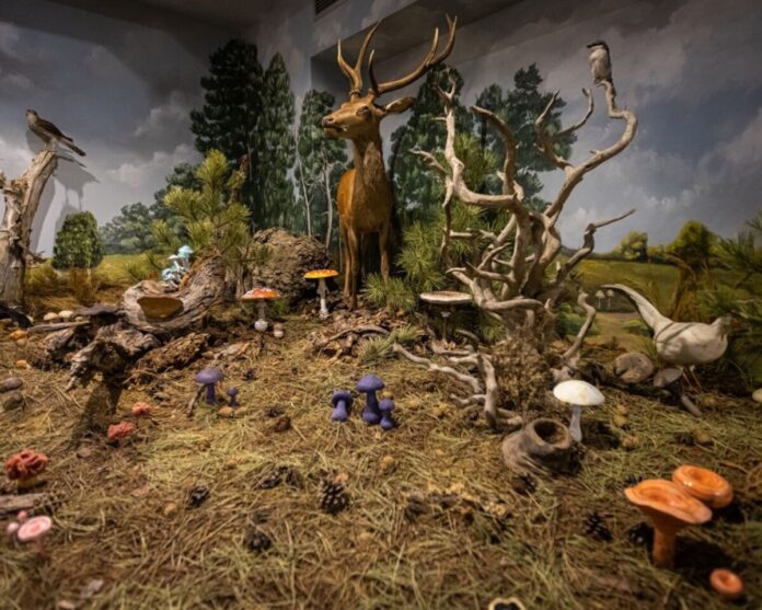 202510160622391512-1200x960