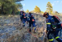 Δασοκομάντος από τον Βόλο στη φωτιά της Σίβηρης Χαλκιδικής