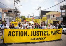 Greenpeace: Η προστασία του κλίματος και των δασών εκτός του επίσημου αποτελέσματος της COP30 και φέτος