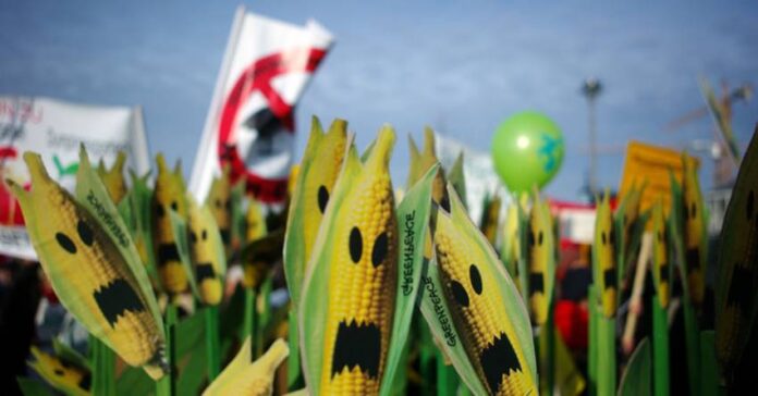 Greenpeace_gmo_251216