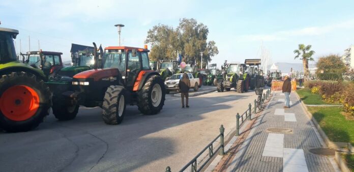 agrotes 8