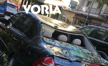 Θεσσαλονίκη: Πτώσεις δέντρων και δεκάδες κλήσεις για βοήθεια από τους ισχυρούς ανέμους