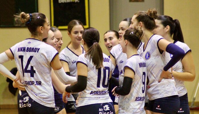 niki volley portaria