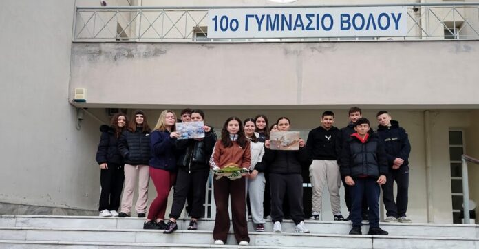10 gimnasio xelona