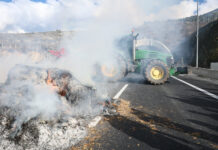 Παραγωγοί της Μαγνησίας από τα Τέμπη: «Να δώσει άμεσα λύσεις η κυβέρνηση» (video)