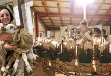 Οι γυναίκες αγρότισσες που σηκώνουν τη Θεσσαλία και τα χωράφια της