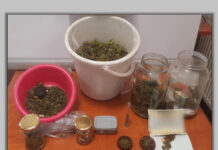 Σε ρητή 61χρονος για καλλιέργεια κάνναβης στο Νότιο Πήλιο