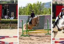 Χρονιά ορόσημο ήταν για τον Ιπ.Ο.Τ.Ι.Σ. το 2025