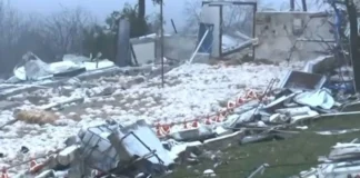Nεκρά 40.000 κοτόπουλα-«Πάθαμε απίστευτη καταστροφή»