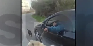 Tραβούσε τον σκύλο του μέσα από το αμάξι- Ισχυρίστηκε ότι τον πήγαινε βόλτα