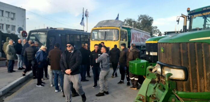 agrotes limani 2