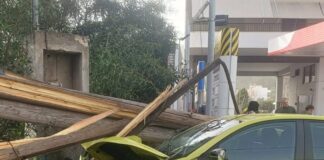Αυτοκίνητο «καρφώθηκε» σε διπλή ξύλινη κολώνα της ΔΕΗ (φωτογραφίες)