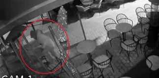 Διαρρήκτης σκαρφάλωνε σε τέντα για να μπει σε κατάστημα, καρέ καρέ η δράση του
