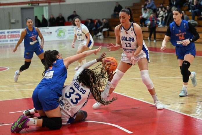 anorthosi amyntas
