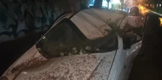 Δέντρο καταπλάκωσε αυτοκίνητο