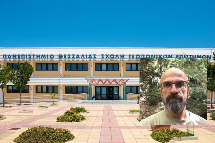 kormas