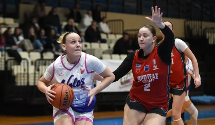 loridopoulou me protea