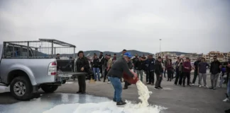 Κλιμακώνουν τις κινητοποιήσεις τους οι κτηνοτρόφοι στο λιμάνι της Μυτιλήνης