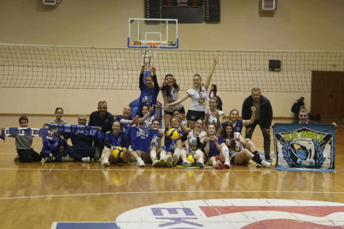 niki volley portaria