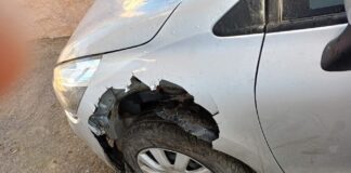Σκύλος επιτέθηκε σε αυτοκίνητο και το… έφαγε (φωτογραφίες)