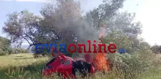 Αυτοκίνητο έπεσε σε ελιά και πήρε φωτιά – Ένας τραυματίας