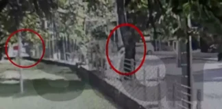 Βίντεο ντοκουμέντο από τις επιθέσεις του 28χρονου ντελιβαρά που πετούσε πέτρες σε ανυποψίαστους περαστικούς