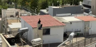«Ήταν τόσο ατημέλητοι που δεν ξεχώριζες αν τα παιδιά είναι αγόρια ή κορίτσια»