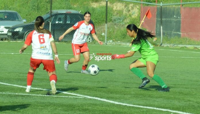 volos-2004 npsv