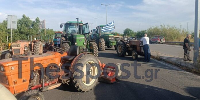 agrotes1-new-1140x570