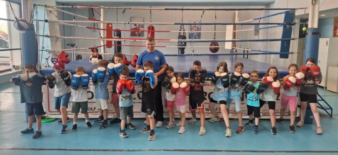 camp niki boxing