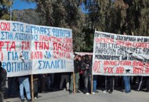 ΚΚΕ: «Να μην εφαρμοστεί ο απαράδεκτος νόμος για τις διαγραφές φοιτητών και στις σχολές πενταετούς φοίτησης»