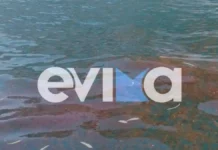 Εύβοια: Η θάλασσα άλλαξε χρώμα από τις μέδουσες