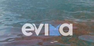 Εύβοια: Η θάλασσα άλλαξε χρώμα από τις μέδουσες
