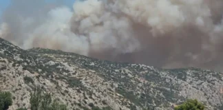 Φωτιά στη Βοιωτία: Μάχη με τις φλόγες στο Ακραίφνιο και με εναέρια μέσα (βίντεο)