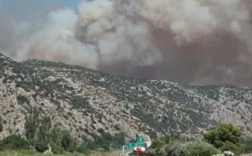 Φωτιά στη Βοιωτία: Μάχη με τις φλόγες στο Ακραίφνιο και με εναέρια μέσα (βίντεο)