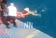 Φέρι μποτ έσωσε 70χρονη λουόμενη που παρασύρθηκε από ρεύματα