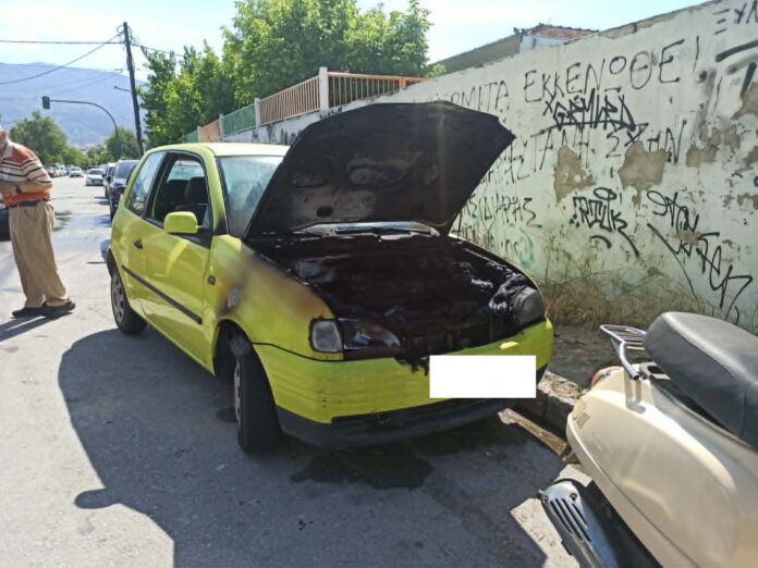 ix palia