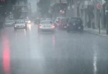 Έπεσαν δέντρα από την κακοκαιρία στον Βόλο, στο Ξουρίχτι και στη Σκιάθο