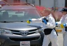 Τρόμος από πτώμα σε αποσύνθεση κοντά στο προπονητικό κέντρο του Ιράν