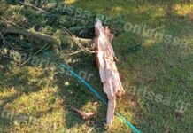 Κεραυνός έπεσε σε αυλή σπιτιού σε χωριό της Θεσσαλίας (φωτογραφίες)