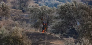 «Κρανίου τόπος το Ρέθυμνο – Καμμένα σπίτια, κομμένοι δρόμοι»