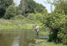 Θεσσαλία: Σε πλήρη εξέλιξη η μάχη κατά των κουνουπιών – Μείωση άνω του 50% στους πληθυσμούς Aedes