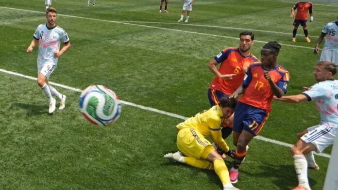 MERINO GOAL