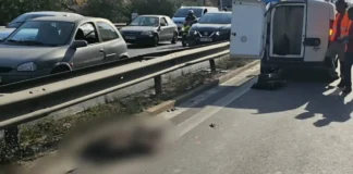 Αγριογούρουνο έκανε βόλτες δίπλα στην Εθνική Αθηνών – Κορίνθου και προκάλεσε τροχαίο