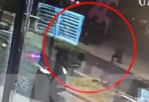 Βίντεο ντοκουμέντο από τη στιγμή της καταδίωξης και του πυροβολισμού του 20χρονου- «Είναι εγκεφαλικά νεκρός»