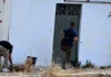 Συγκλονίζει η μητέρα του 20χρονου που δέχτηκε 13 σφαίρες από αστυνομικούς- «Τον σκοτώσανε, με μηχανήματα λειτουργεί το σώμα του»