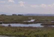 Έφτιαξε αυθαίρετο τσιμεντένιο φράγμα μέσα στον Αξιό Ποταμό